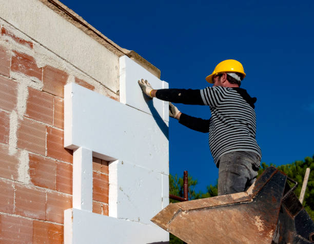 Best Eco-Friendly Insulation in South Barrington, IL