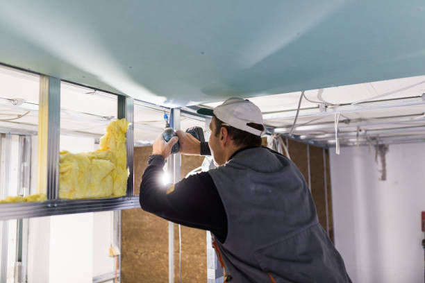 Best Geographic-Specific Insulation Services in South Barrington, IL