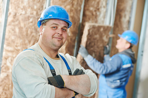 Best Insulation Maintenance and Repair in South Barrington, IL